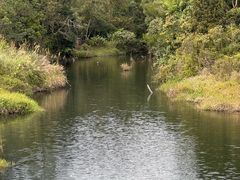 -海南热带雨林国家公园吊罗山景区