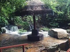 -呀诺达热带雨林