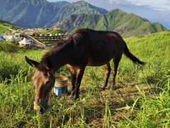 -萍乡武功山风景名胜区