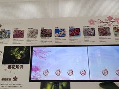 -高东镇樱花园