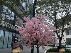 -东莞松山湖万象汇