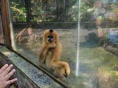 -海南热带野生动植物园