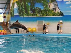 -尼莫海豚馆