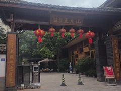 -山大王菌莊