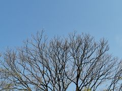 -吴门人家·苏宴宫廷菜(拙政园店)
