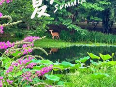 -北京奥林匹克公园