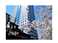 -玛格萝妮比萨屋(四平店)