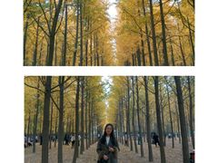 -汉景帝阳陵博物院