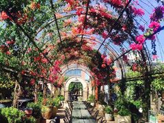 -The Grounds of Alexandria