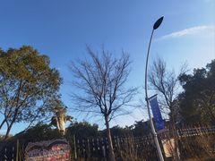 -自然谷恐龙园