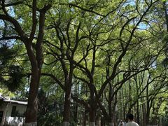 -采石矶景区