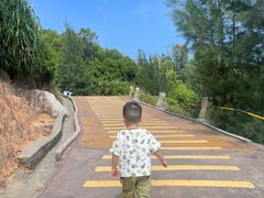 -广东惠东海龟国家级自然保护区