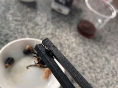 -阿清嫂农家乐.黎窑烤鸡