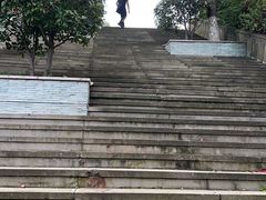 -铁山坪森林公园