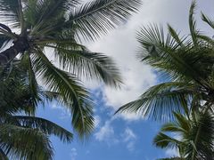 -日落吧·海景咖啡厅·餐酒吧·鸡尾酒·下午茶·乐队表演·浪漫夕阳·三亚文华东方酒店