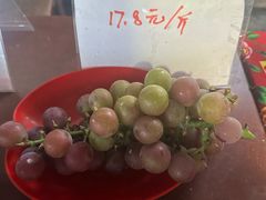 -马陆小张葡萄园农家乐