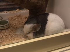 -龙猫仔乐园(惠福东路店)