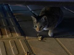 -三月居酒屋(青年大街店)