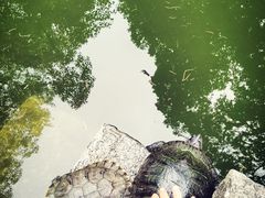 -南岳衡山风景名胜区-南岳大庙