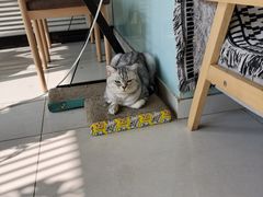 -平行世界·猫咖(首经贸店)