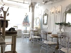 大堂-共舞时光猫咖·狗咖(新街口店)