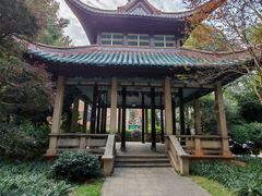 -长沙市青少年宫