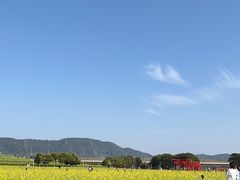 -光明小镇欢乐田园