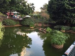 -九龙公园