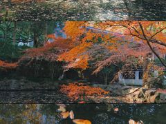 -虎跑公园