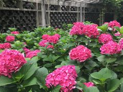 -江南大学附属医院(北院区)