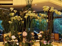 -上海红塔豪华精选酒店