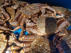 -蟹田居·活蟹料理(东城店)