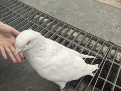 -国色天乡三期陆地乐园
