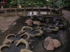 -成都市活水公园