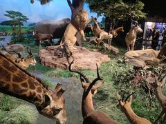 -国家自然博物馆