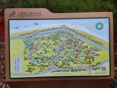 -上海滨江森林公园