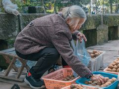 -雅安上里古镇
