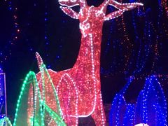 -长春公园(普阳街道)