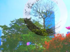 -天河体育中心