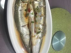-喜洋洋蟹庄(阳澄湖店)