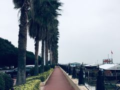 -南沙十九涌渔人码头-南门