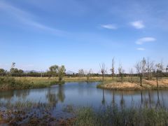 -野鸭湖国家湿地公园