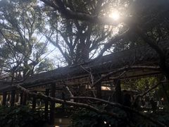 -墨池公园