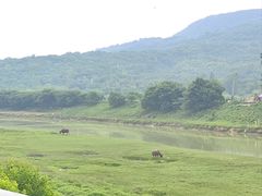 -南京市无想山景区