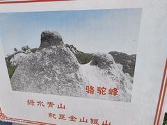 -大岭沟猕猴桃谷风景区