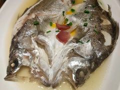 非一般海鲈鱼-高第街56号港式餐厅·精选(世茂广场宽厚里大明湖店)