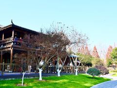 -合肥滨湖国家森林公园