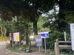 -汉拿树木园