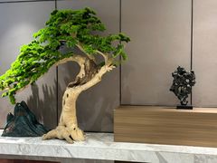 -青水瓦台汤泉(未央店)