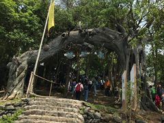 -凤城河风景区
